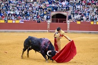 Reinaguración de la plaza de toros