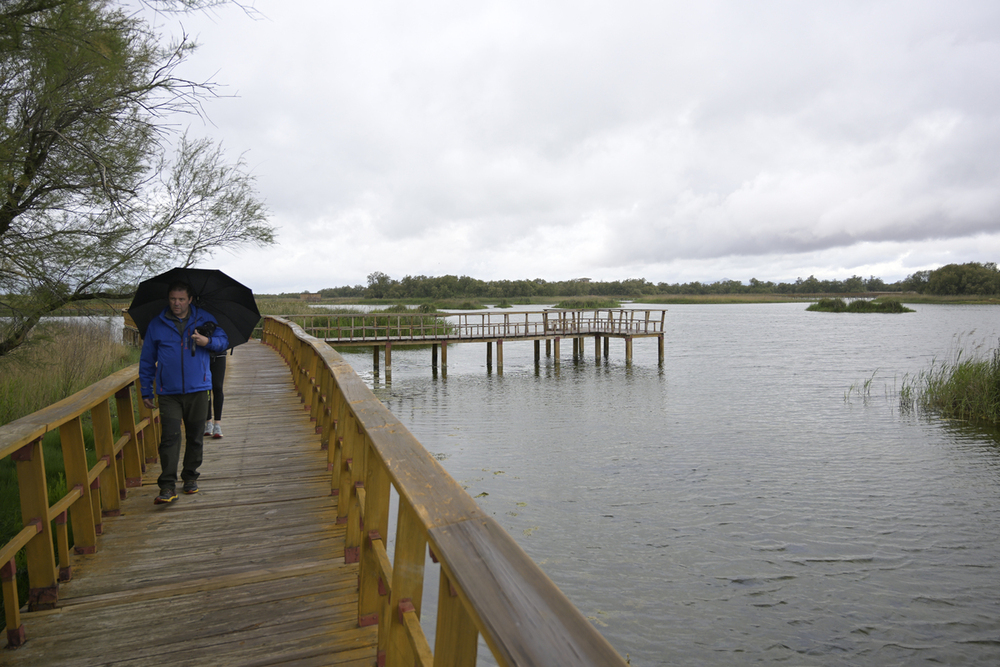 Las Tablas de Daimiel alcanzan las 623 hectáreas inundadas