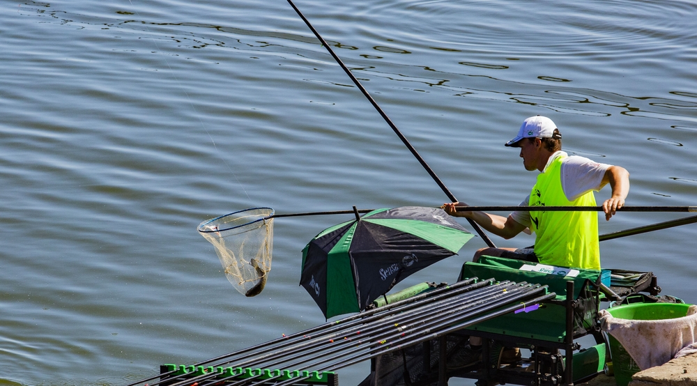 mundial de pesca en el pantnao del vicario  / RUEDA VILLAVERDE