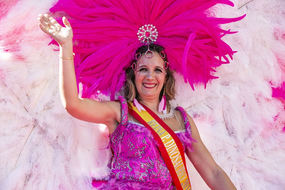 Desfile de Carnaval, domingo de piñata en ciudad real, carnaval. disfraces, Burleta, desfile de carnaval en ciudad real  / RUEDA VILLAVERDE