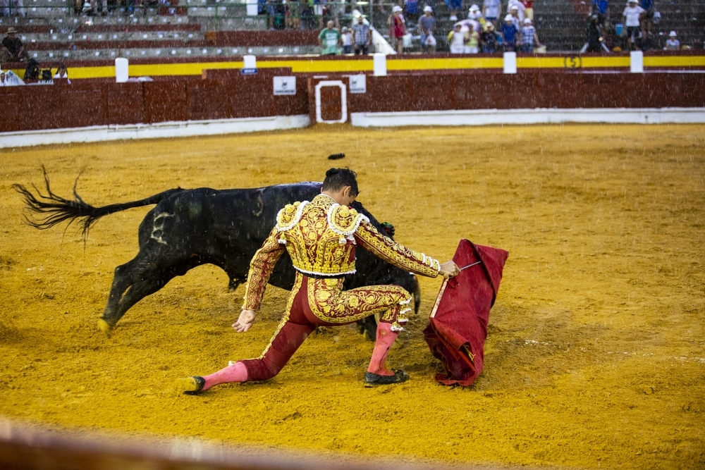 Aguacero, pinchazos y oreja