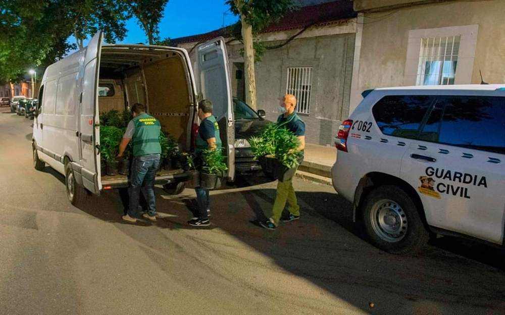 14 detenidos en una macro operación antidroga en Puertollano