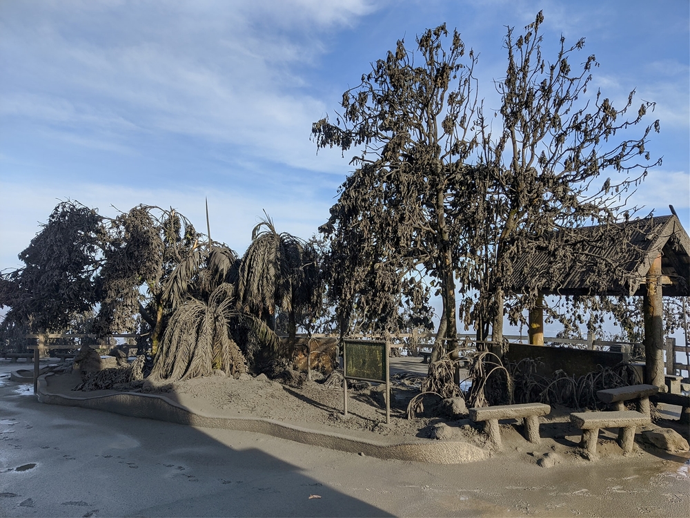 Ashfall after the eruption of the Taal volcano is seen in Tagaytay City, Cavite  / JEROME AUSTRIA ABUAN