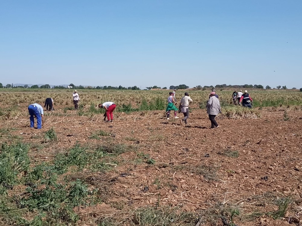 CCOO eleva el control el control en el campo por la pandemia