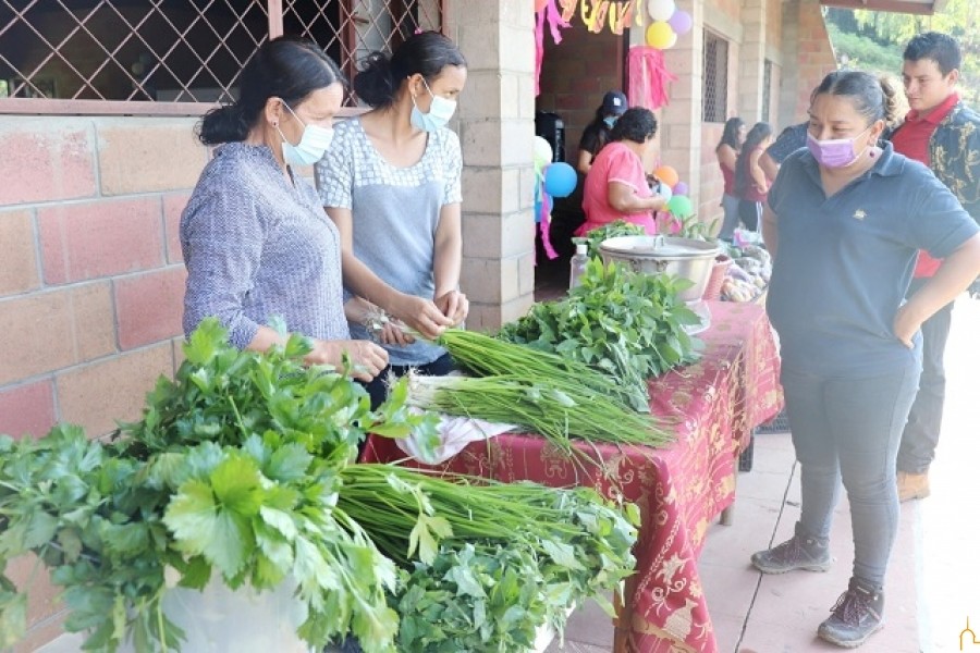 Las ONGs valoran el apoyo de la Diputación 