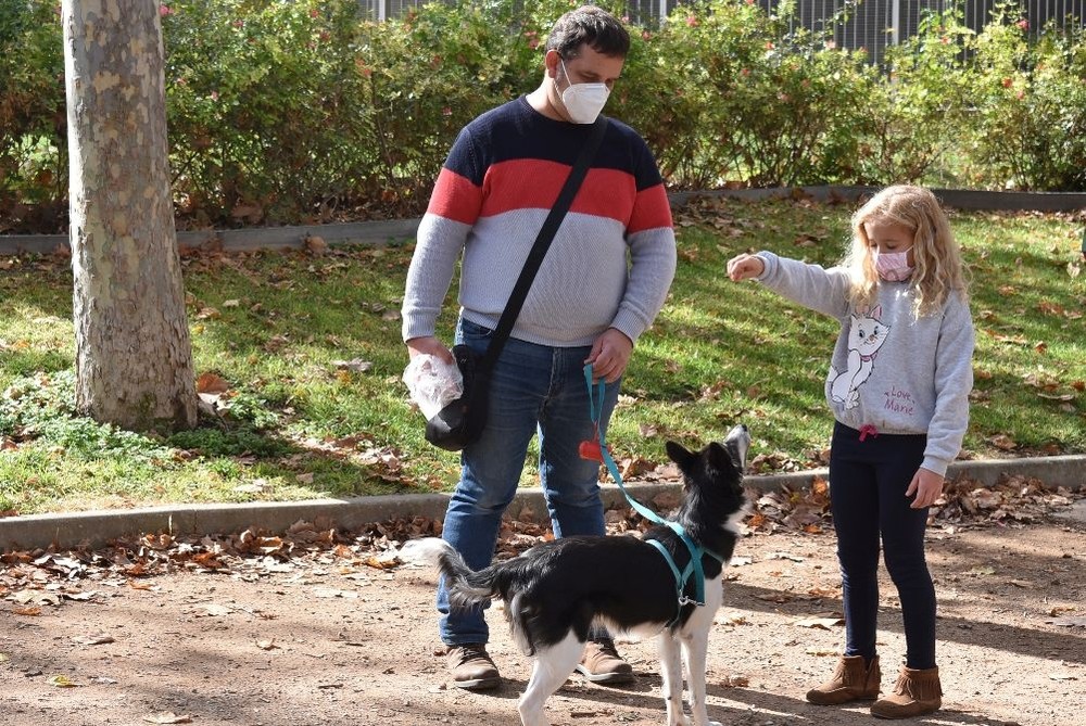 Taller de entrenamiento canino en Ciudad Real