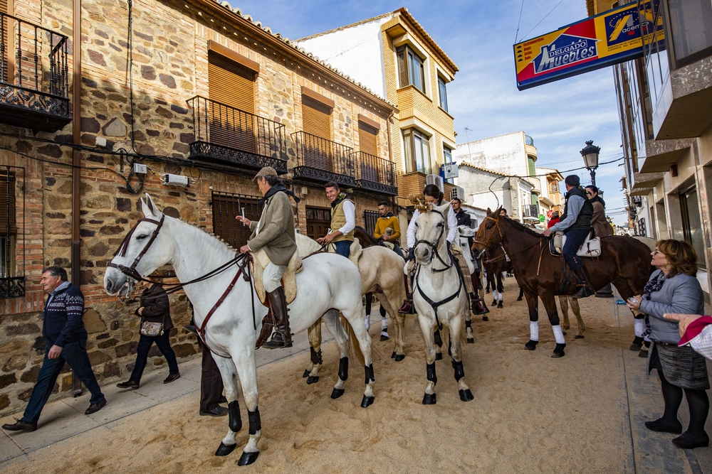 Carnaval en torrenueva con la Borricá, borrica de torrenueva, carnaval en Torrenueva, caballos, Borricá, Borrica en torrenueva  / RUEDA VILLAVERDE