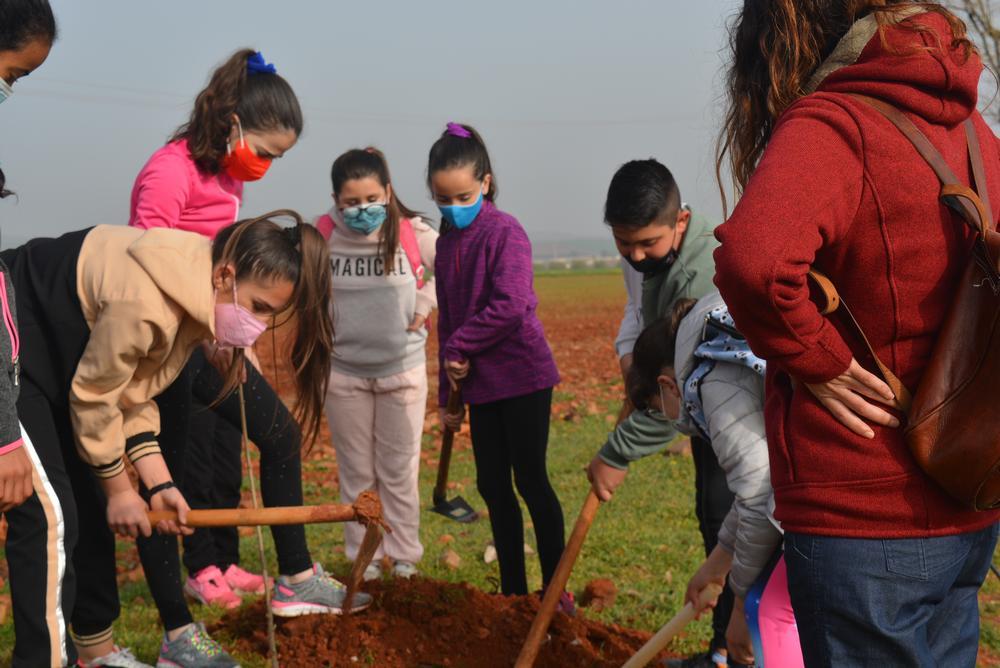 Los escolares plantan árboles en la Ruta del Quijote