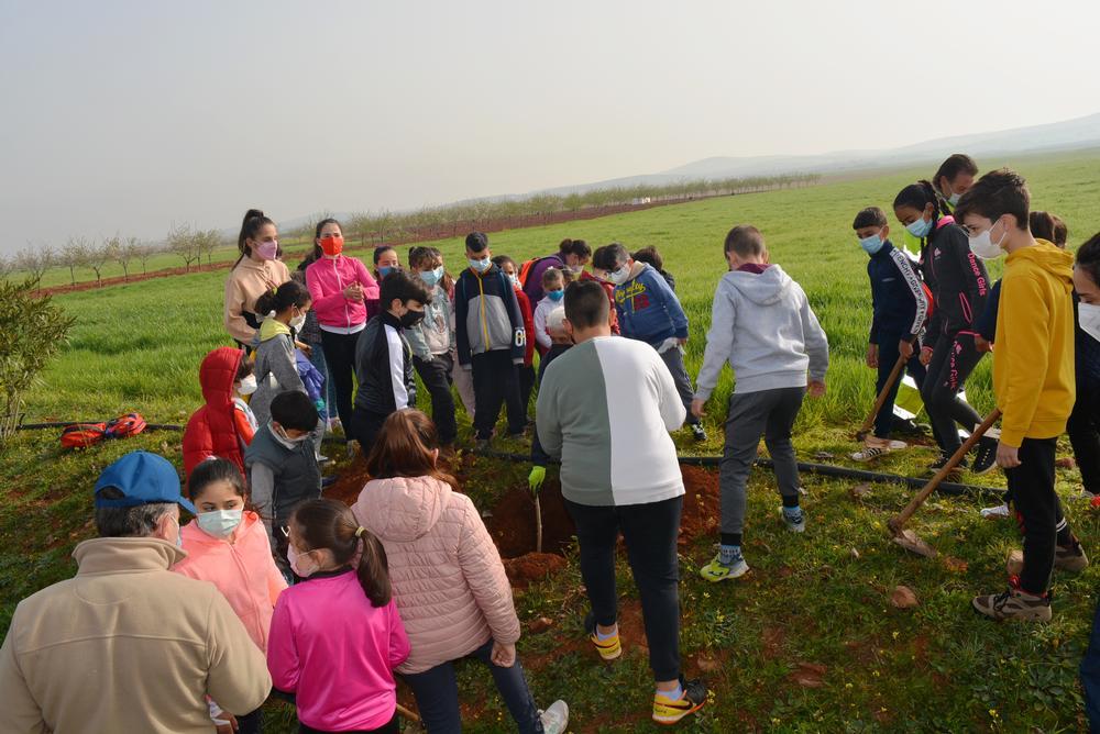 Los escolares plantan árboles en la Ruta del Quijote