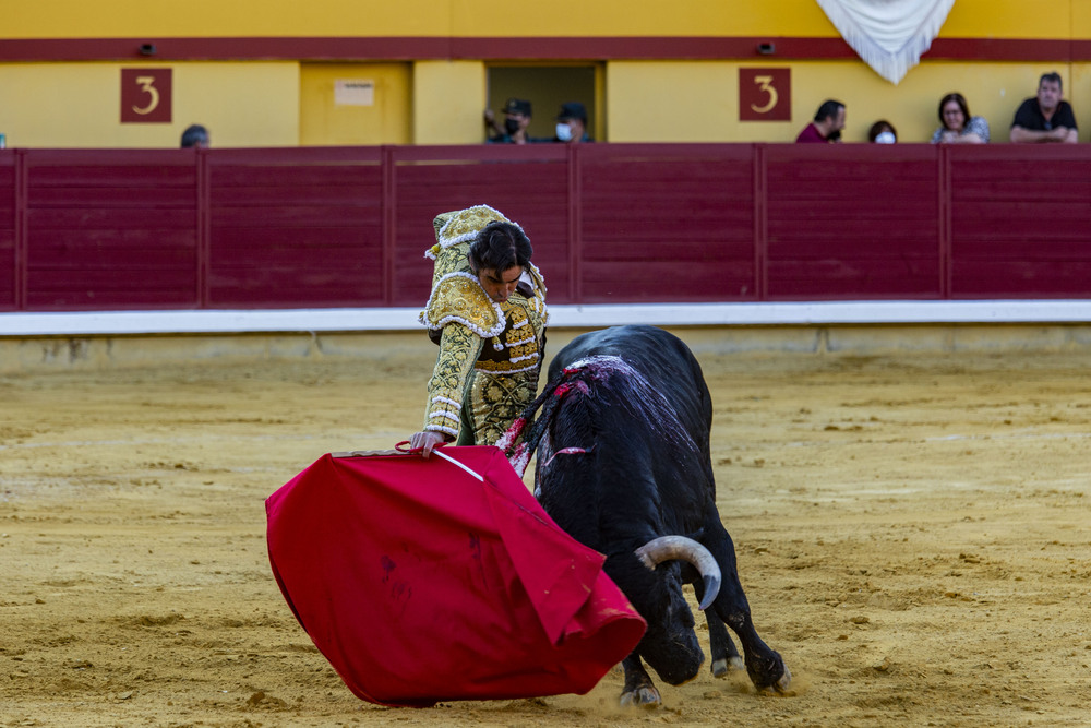 toros en Almodovar, corrida de Angel Perera  / RUEDA VILLAVERDE