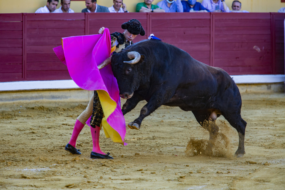 toros en Almodovar, corrida de Daniel Luque  / RUEDA VILLAVERDE