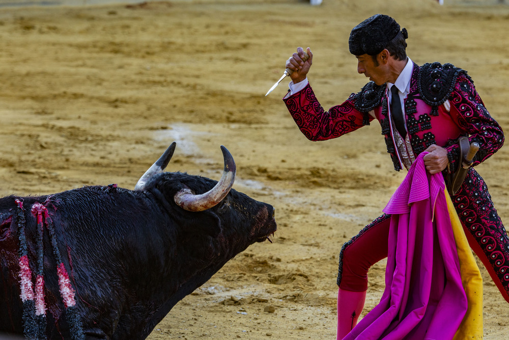 toros en Almodovar, corrida de Angel Perera  / RUEDA VILLAVERDE