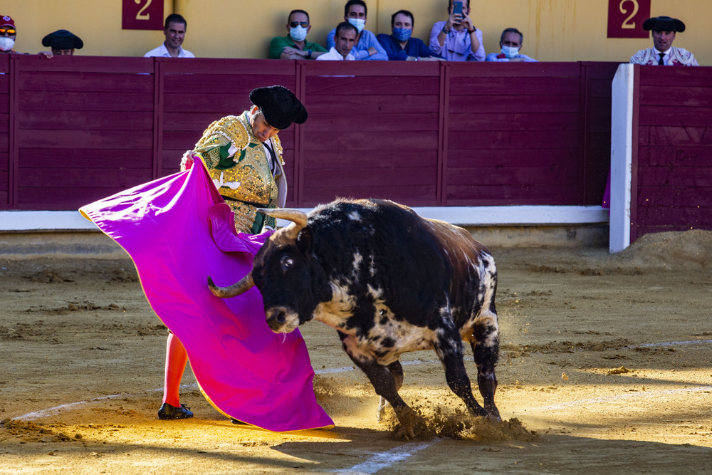 toros en Almodovar, corida de toros de Morante  de la Puebla  / RUEDA VILLAVERDE