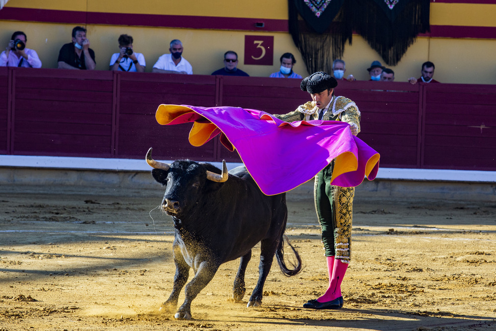 toros en Almodovar, corrida de Angel Perera  / RUEDA VILLAVERDE