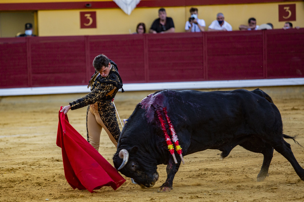 toros en Almodovar. corrida de Daniel Luque  / RUEDA VILLAVERDE