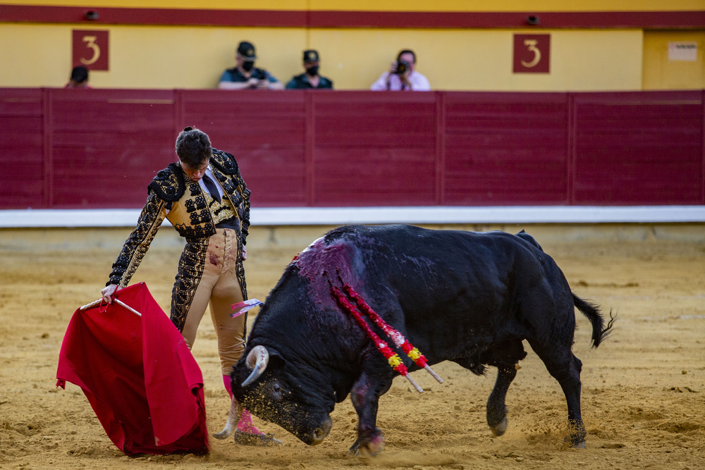 toros en Almodovar. corrida de Daniel Luque  / RUEDA VILLAVERDE