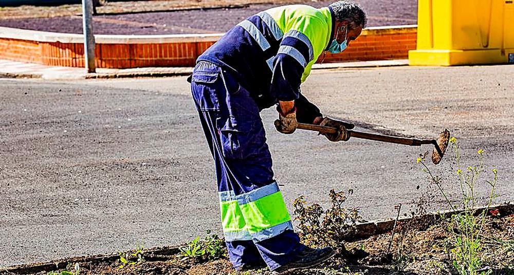 Cañada, con más vehículos que vecinos 