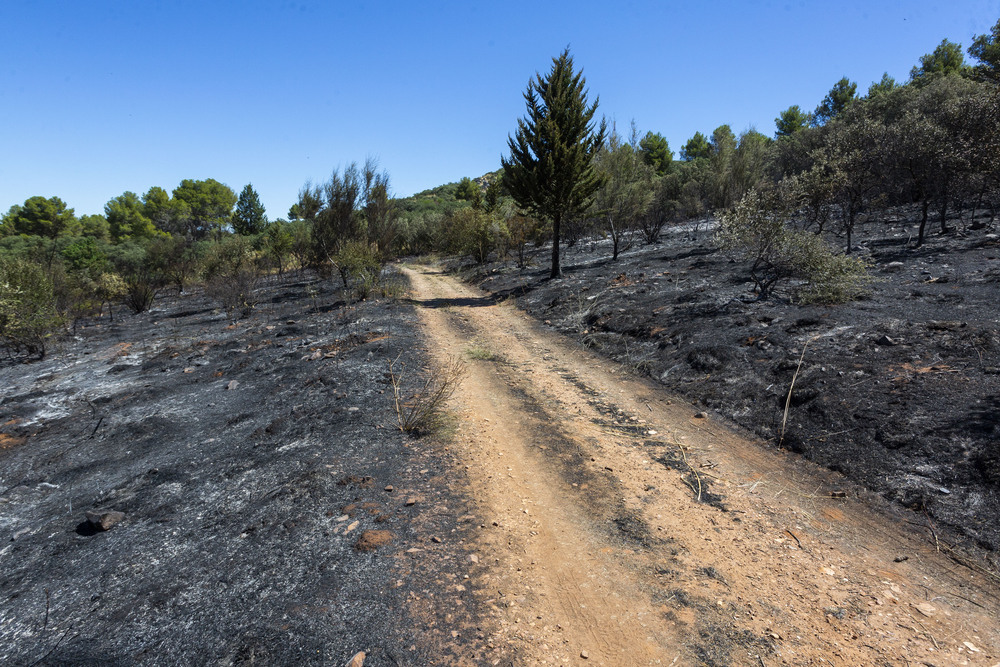 El Ayuntamiento estudia ser acusación por el incendio