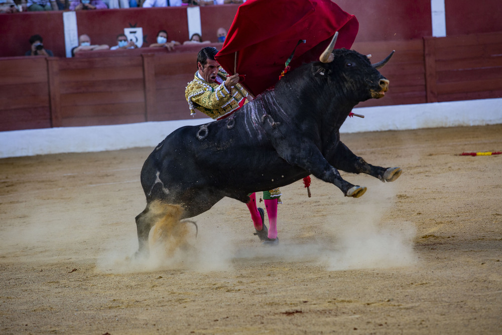 corrida de toros en Alcazar de San juan con los toreros  Antonio Ferreras, Emilio de Justo vestido verde y Roca Rey