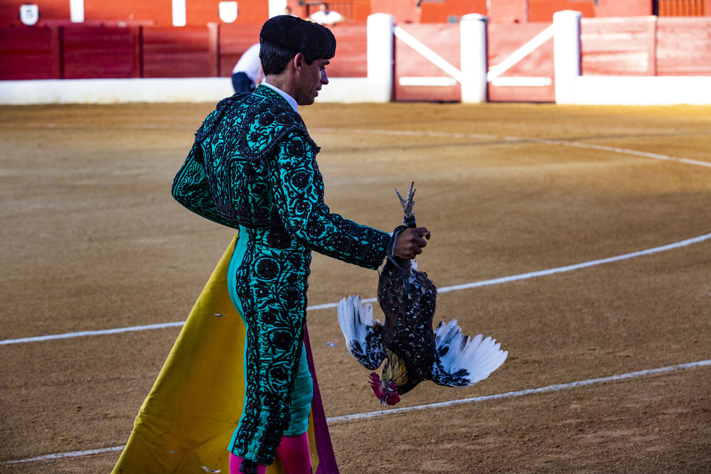 corrida de toros en Alcazar de San juan con los toreros  Antonio Ferreras, Emilio de Justo vestido verde y Roca Rey  / RUEDA VILLAVERDE