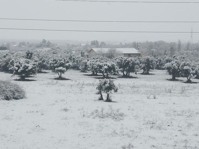 Vista de Puertollano cubierta de nieve  / GRACI MORA