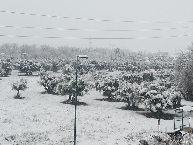 Vista de Puertollano cubierta de nieve  / GRACI MORA