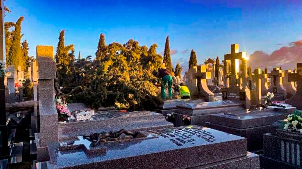 Caen tres árboles en el cementerio de Calzada por el viento