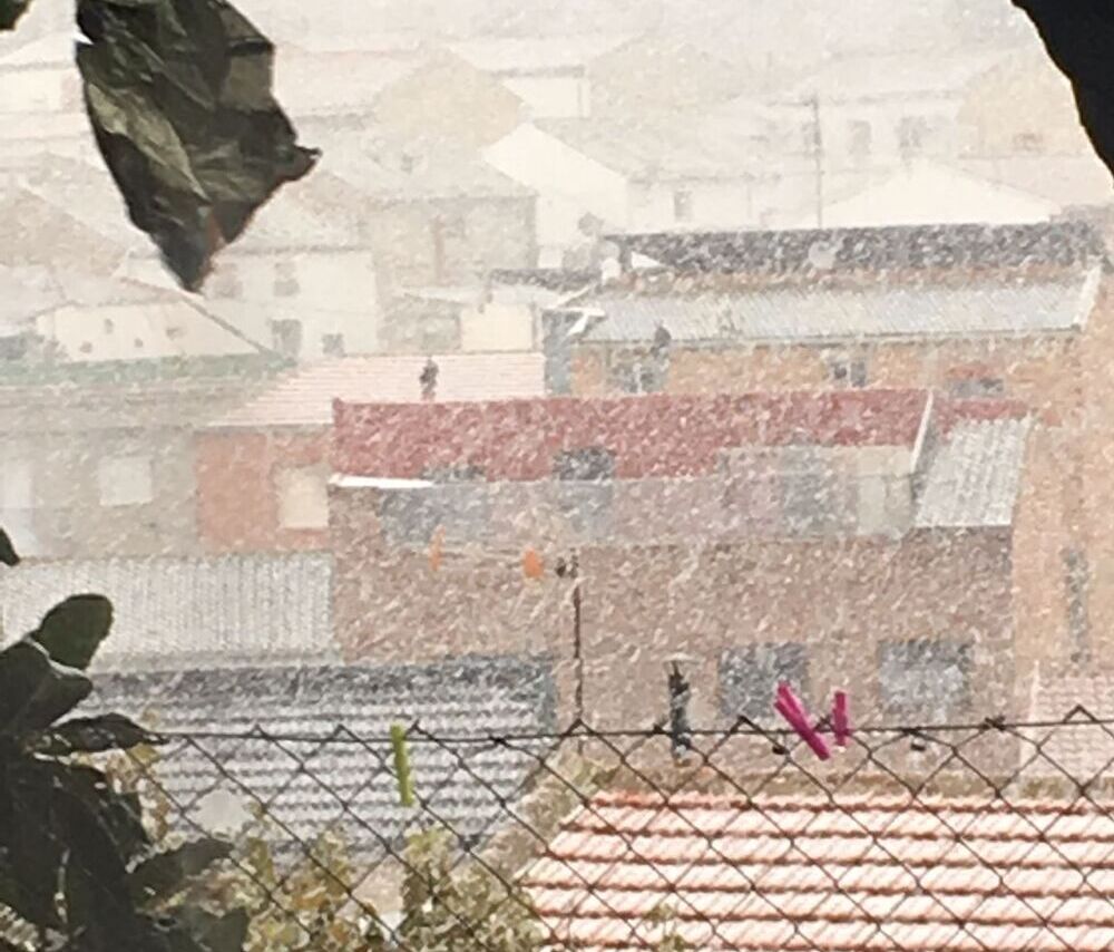 La nieve cayendo en Albaladejo.