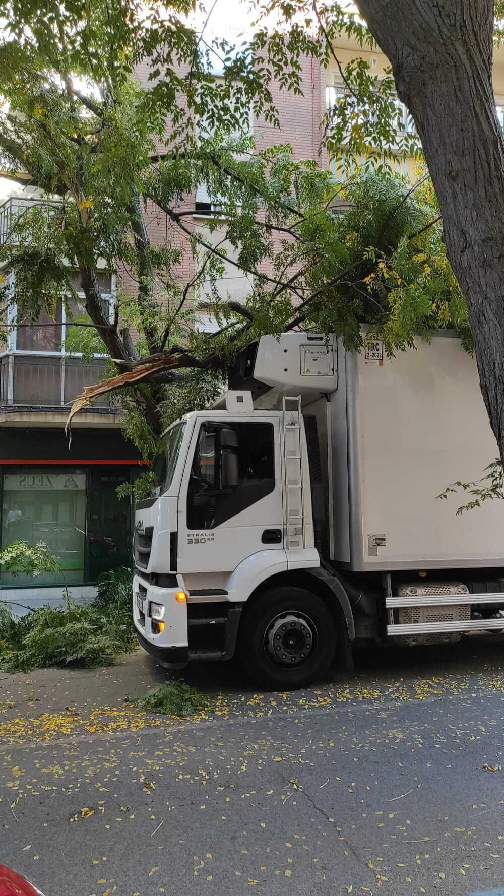 Un camión choca con un árbol en la calle Calatrava