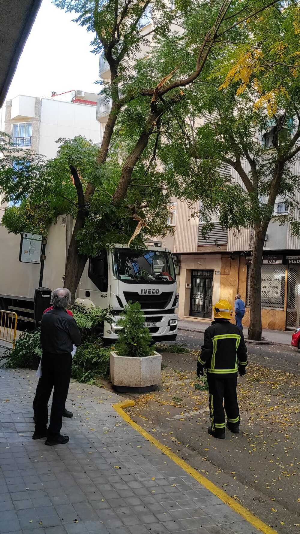 Un camión choca con un árbol en la calle Calatrava