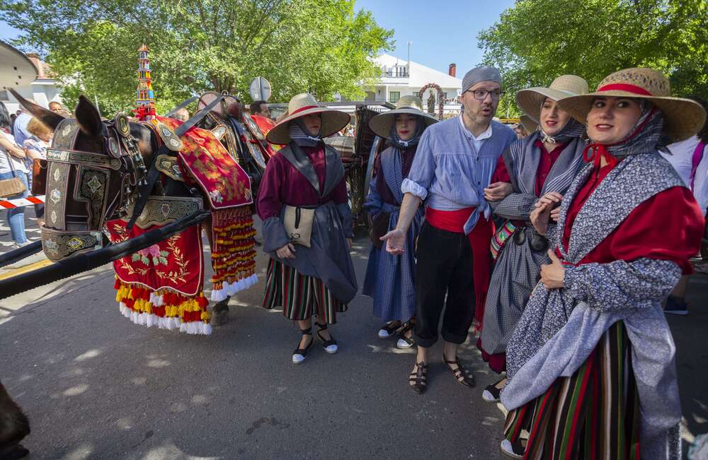 Romería de la Virgen de Alarcos  / TOMÁS FDEZ. DE MOYA