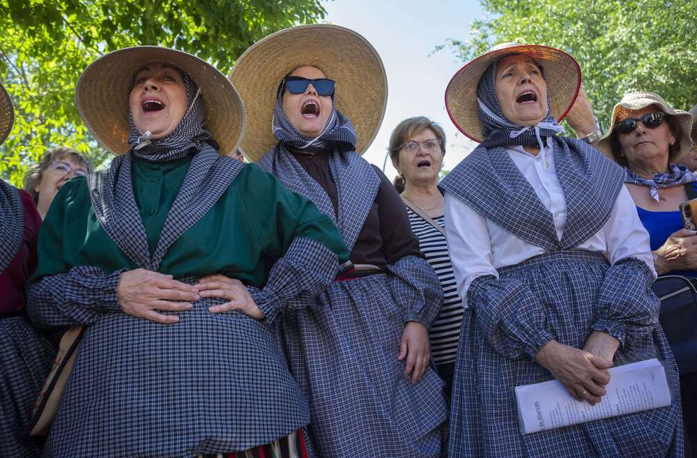 Romería de la Virgen de Alarcos  / TOMÁS FDEZ. DE MOYA