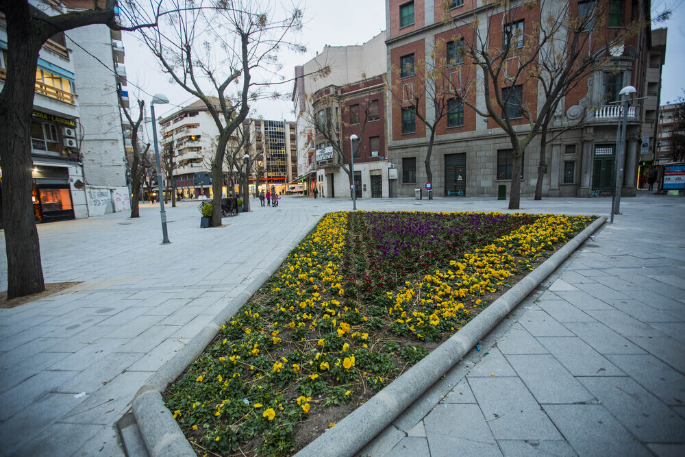 Plaza Cervantes de Ciudad Real