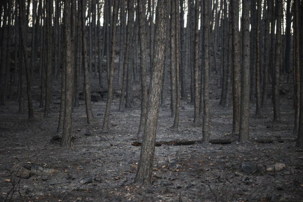 No presenta llamas ya la mayor parte del perímetro del incendio de Bejís  / BIEL ALIÑO