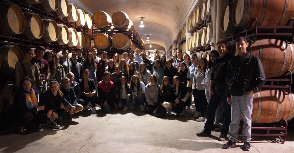 Los vinos DO La Mancha aprueban con nota su paso por la UCLM
