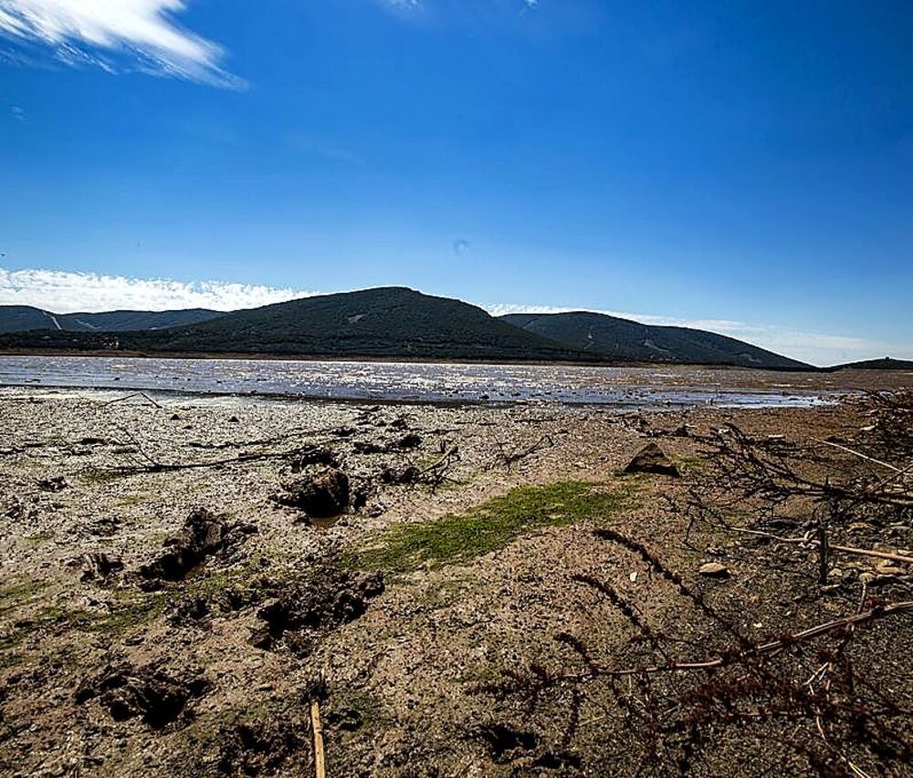 Los pantanos sufren la mayor sequía en lo que va de siglo