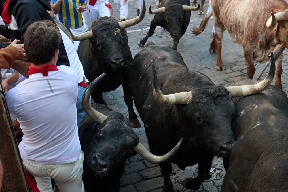 Segundo encierro de los Sanfermines 2022  / DANIEL FERNÁNDEZ