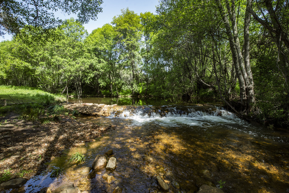 El río Robledillo, candidato a reserva natural fluvial