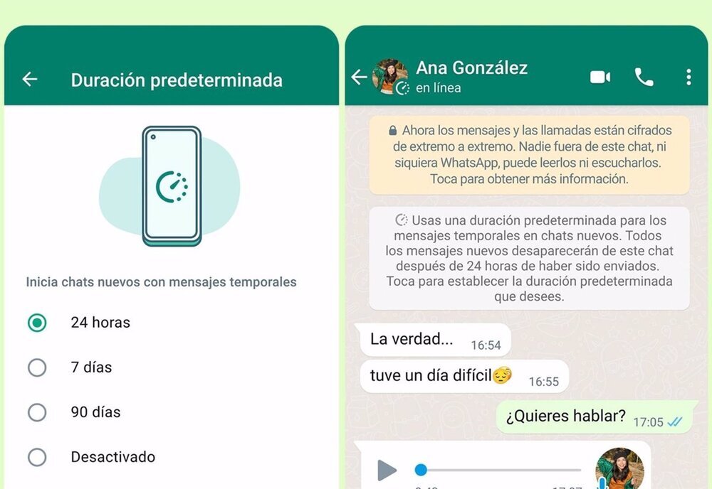 Buzo Interacción empieza la acción WhatsApp borrará automáticamente los archivos temporales | Noticias La  Tribuna de Ciudad Real