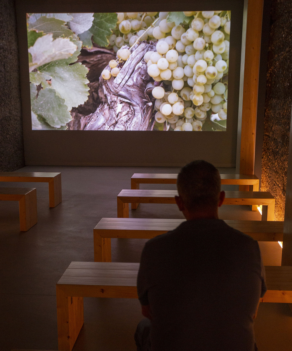 La visita a las cuevas está reforzada con la proyección de audiovisuales que explican la historia de la cooperativa y el cultivo de la vid.