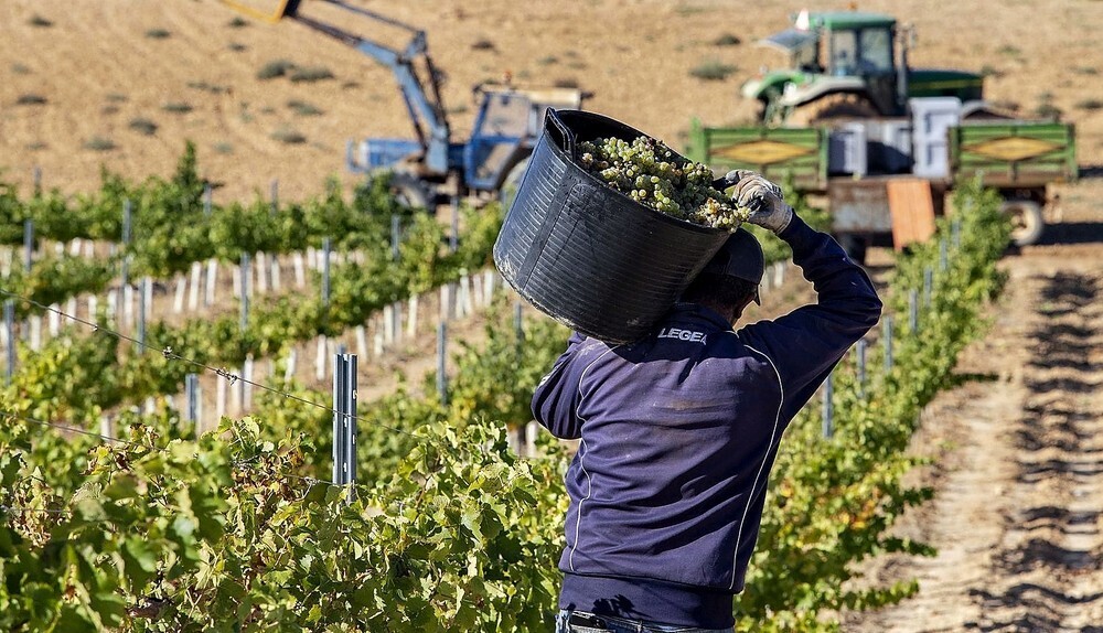 Los empleados del campo cobran, de media 1.200 y 1.400 euros