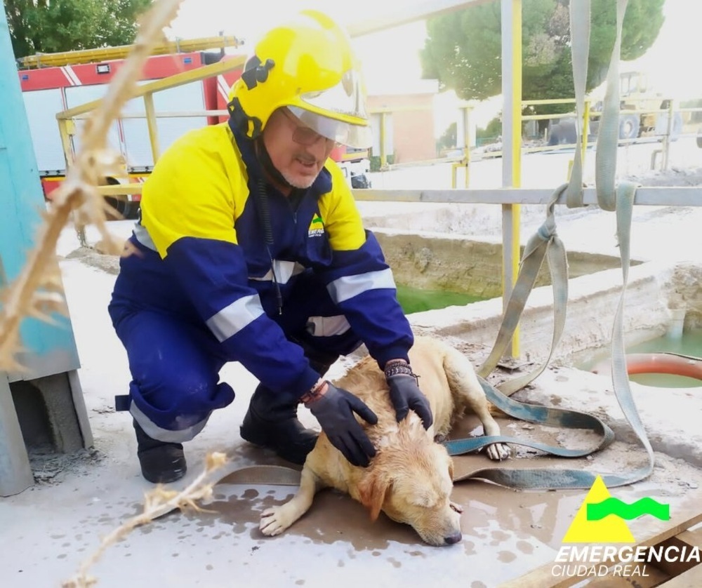 Bomberos rescatan a un perro exhausto tras caer a un pozo