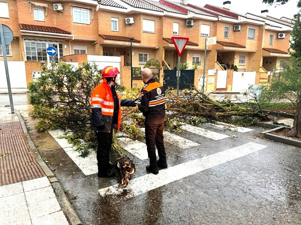 El temporal dejó ramas e inundaciones en Puertollano