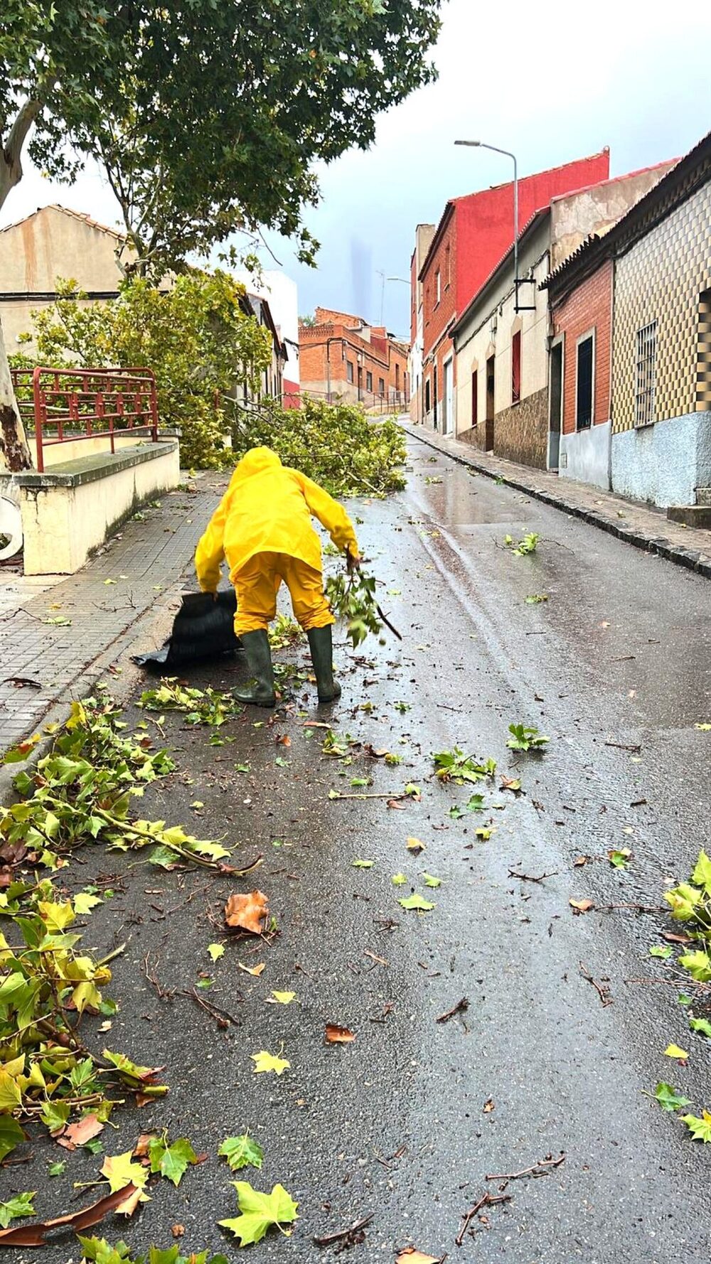 El temporal dejó ramas e inundaciones en Puertollano