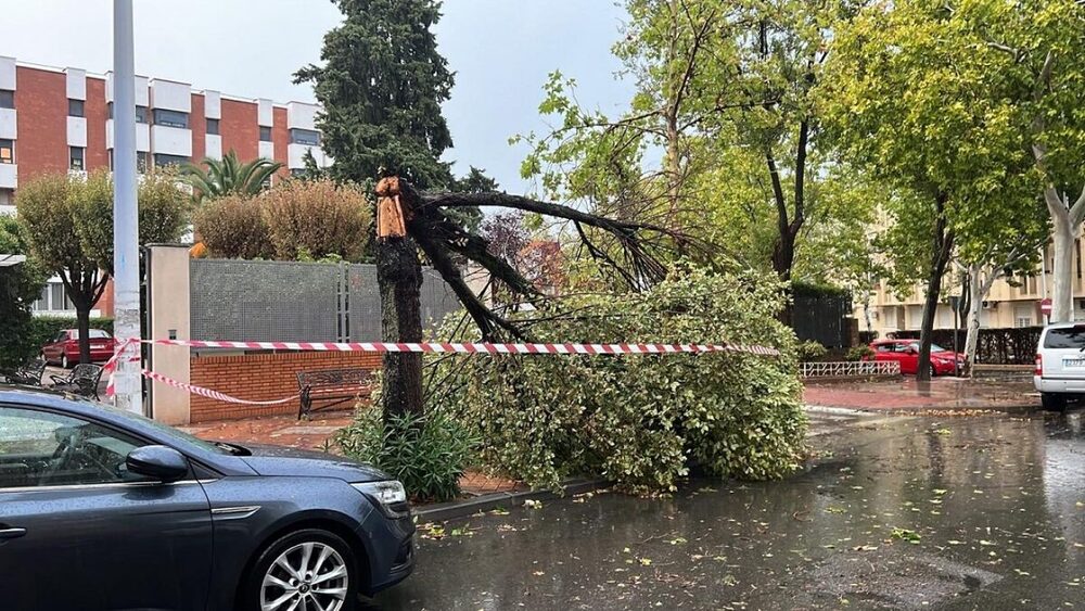 El temporal dejó ramas e inundaciones en Puertollano