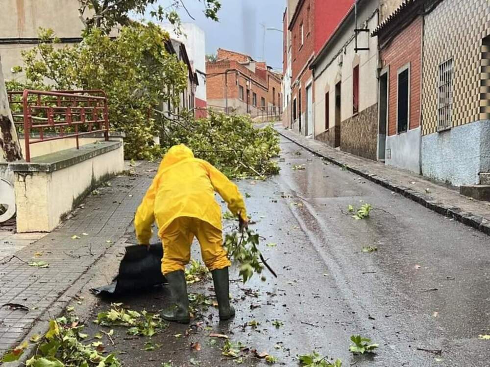 El temporal dejó ramas e inundaciones en Puertollano