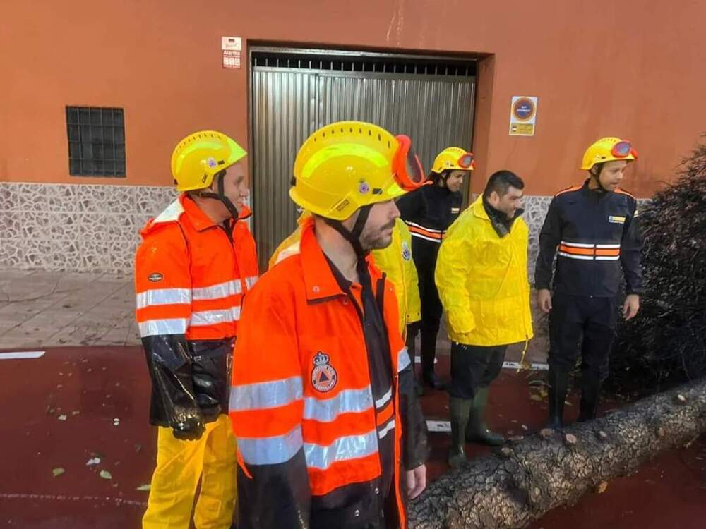 El temporal dejó ramas e inundaciones en Puertollano