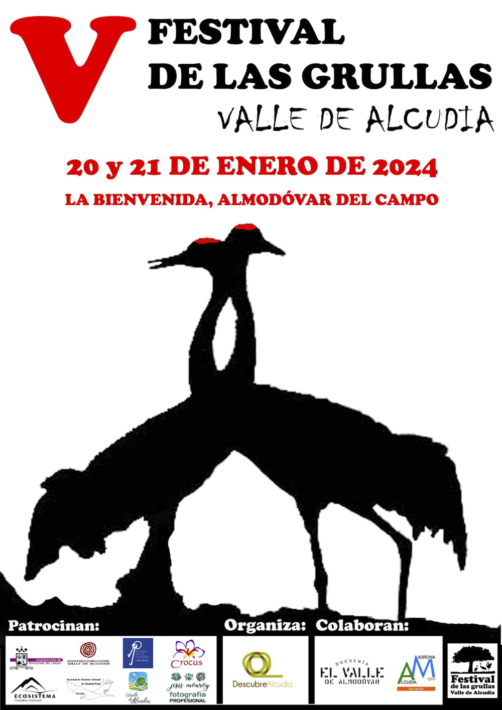 El Festival de Grullas del Valle de Alcudia, 20 y 21 de enero