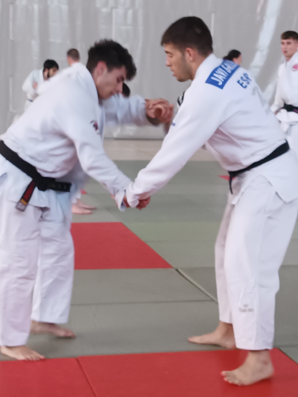 Éxito del I Stage Nacional de Judo de Tomelloso