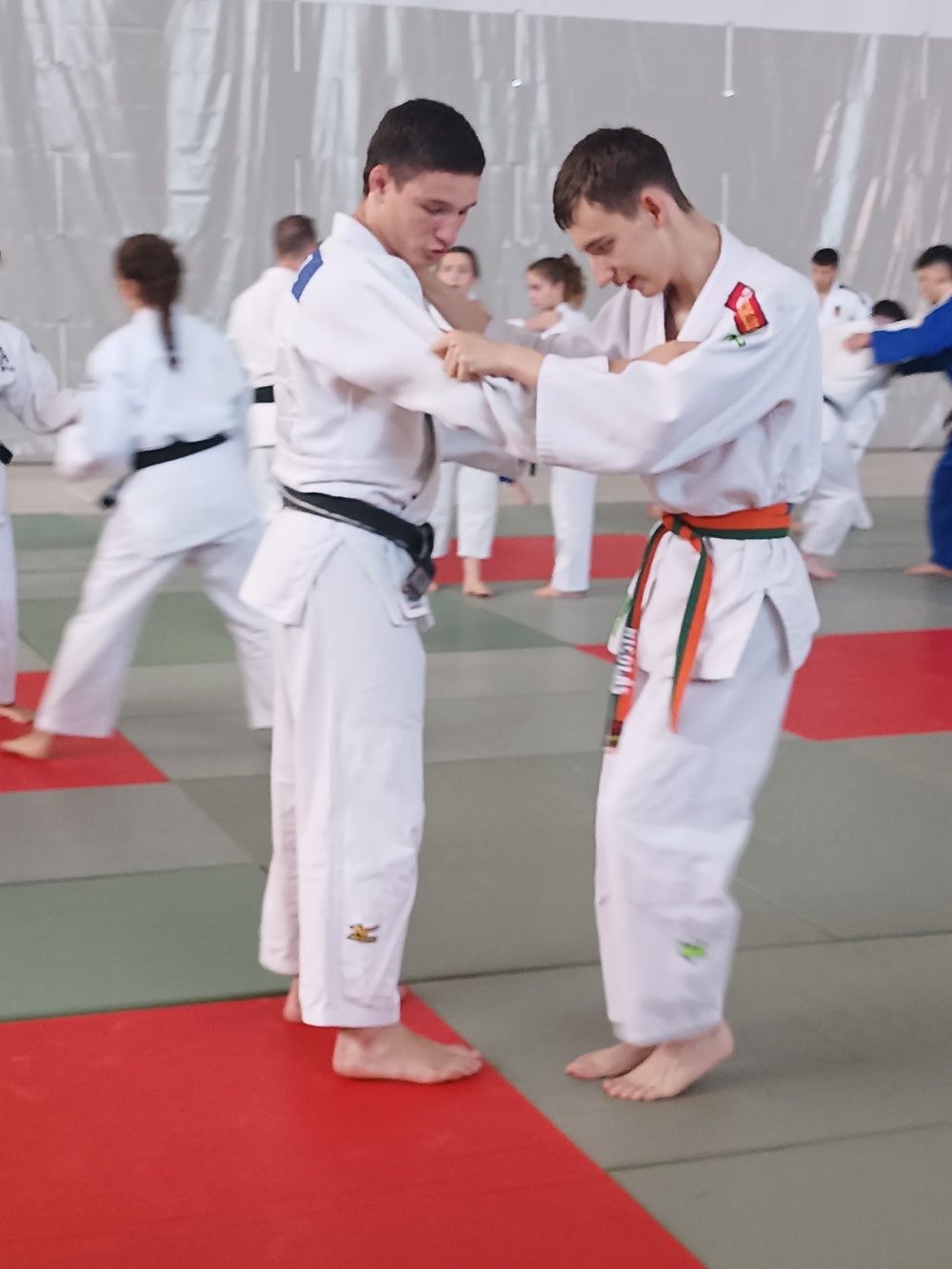 Éxito del I Stage Nacional de Judo de Tomelloso